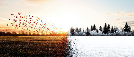 A wide silhouette open field with autumn leaves blowing in the wind on one sideの素材