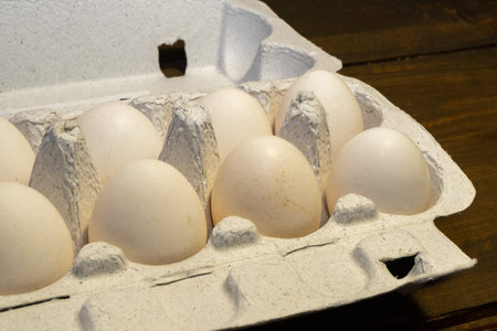 Eggs on White Background eco