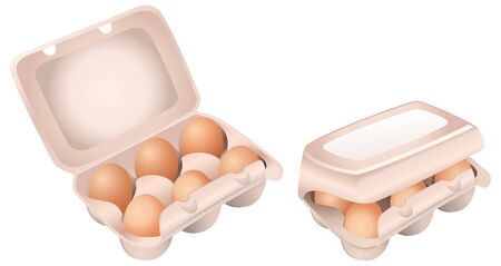 Set of Chicken Eggs in Boxes on White Backgroundのイラスト素材