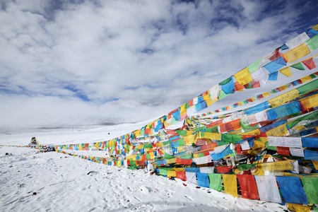 tibet: tibetan prayer flags in snowの写真素材