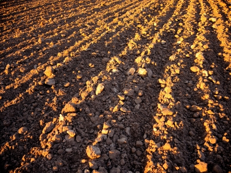 Black ploughed field  Illuminated sunrays in springtime.の写真素材