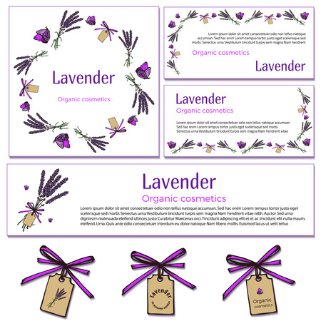 Vintage hand drawn lavender design elements on white background. Engraving illustration.のイラスト素材