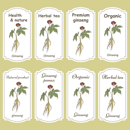 Set of labels with root and leaves panax ginseng.のイラスト素材