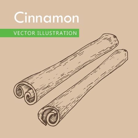 Cinnamon sticks vector hand drawn  illustration. Product to prepare delicious and healthy food.  Vector black vintage engraving illustration. Isolated on biege backgroundのイラスト素材