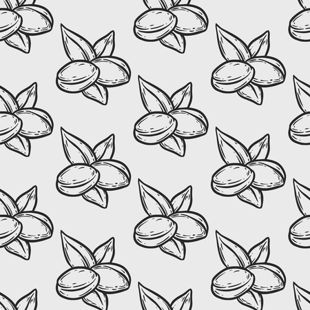 Seamless pattern of argan vector drawing label nut oil, fruit, berry, leaf, branch, plant, Hand drawn sketch illustration.のイラスト素材