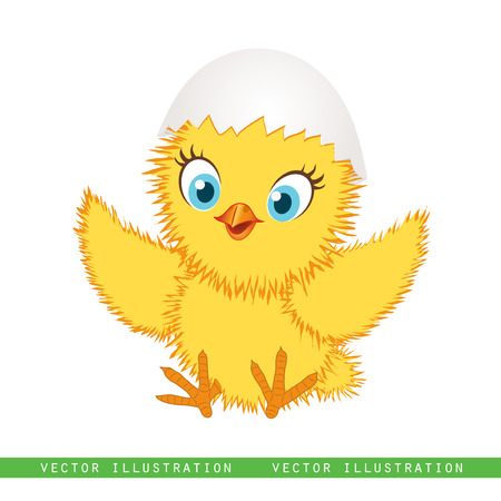Baby chicken isolated on white background. Cute cartoon chicken. Funny yellow chicken, vector illustration.のイラスト素材