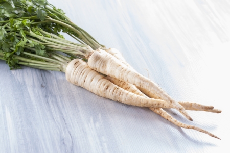 Close up photo of edible vegetables - a parsley root with some green top on a solid wooden light blue backgroundの写真素材