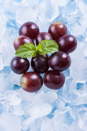 Composition of red grapes fruit slices with ice cubes and mint herb leafs.の写真素材