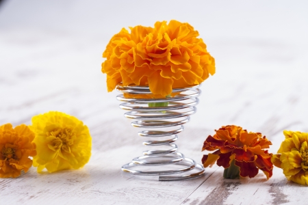 Close up photo of the small light orange flowers (Tagetes) on a bright solid wooden background.の写真素材
