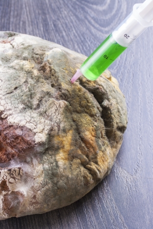 Close up photo concept showing up a GMO food - a molded bread and syringe green fluid begin injected.の写真素材