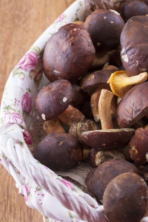 Close up photo of the edible fungus - Boletus edulis - known as penny bun placed in a white basket on a wooden background.の写真素材