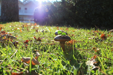 sunny day in the parkの写真素材