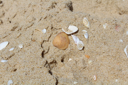 sand beachの写真素材