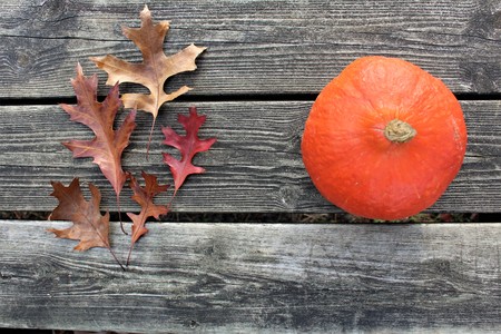 pumpkin and the oak leaves on the woodの写真素材