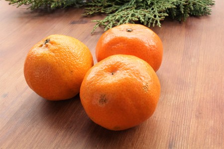 new year decorationsの写真素材