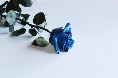 valentine's dayの写真素材