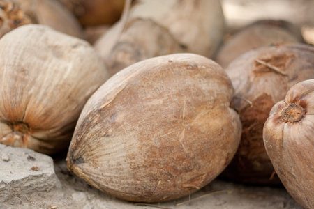 Coconut