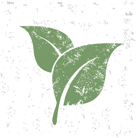 Leaf design on old paper,grunge vectorのイラスト素材