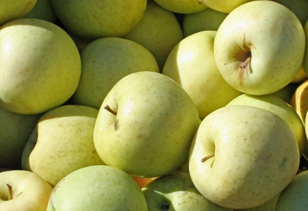 Virginia Gold apples closeupの写真素材