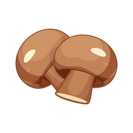 mushroom vector isolated on white backgroundのイラスト素材