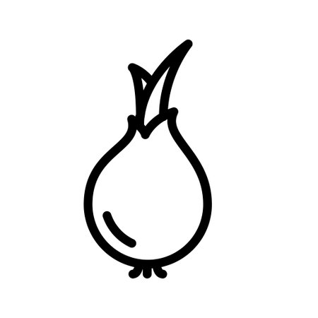 onion icon vector isolated on white background.のイラスト素材