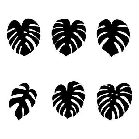 Exotic tropical leaves isolated on white background.のイラスト素材