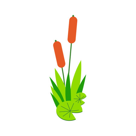 Reeds icon in flat style isolated on white background. Plants symbol stock vector illustration. Nature element designのイラスト素材