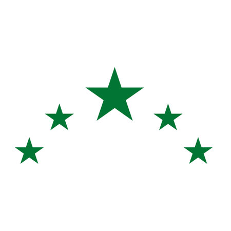 Star icon. Vector illustration, flat design. Isolated on white background. Bright colored simple icon illustration. 5 star graphic design elementsのイラスト素材