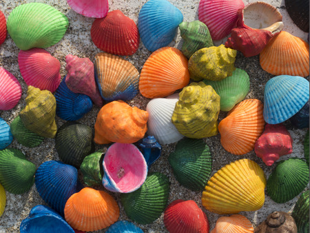 memorable seashells close-up on a wooden table with sandの写真素材