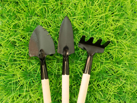 Interesting background about the garden and the garden of springの写真素材