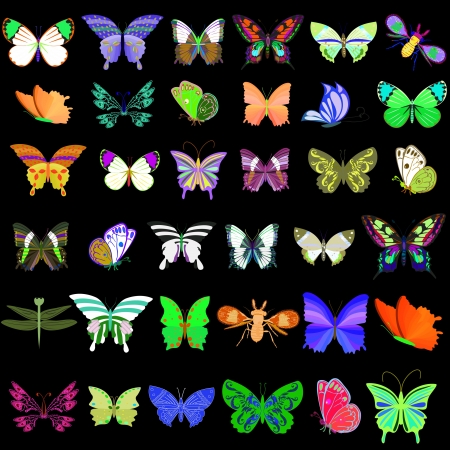 Set of butterfliesのイラスト素材