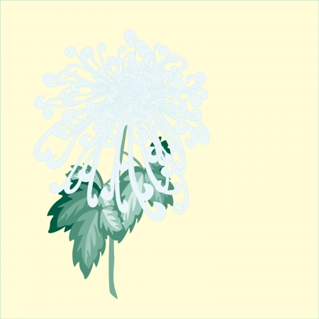 Floral cardのイラスト素材