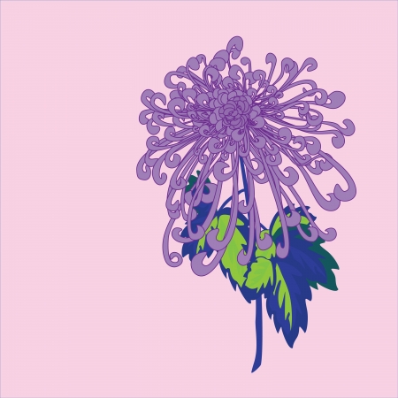 Floral cardのイラスト素材
