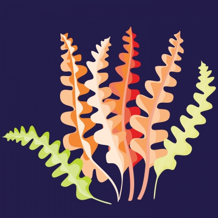 Floral backgroundのイラスト素材