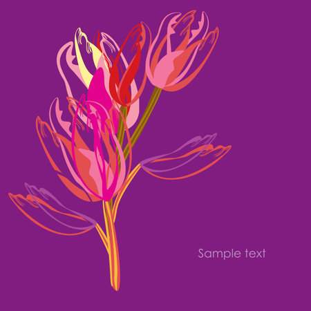  tulips  vector illustrationのイラスト素材