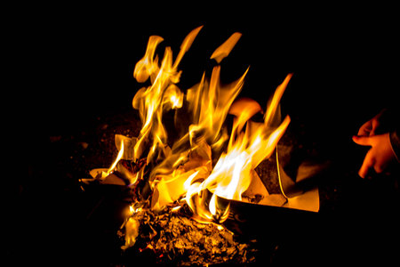 Flames of a campfire on a black background. Close-up.の写真素材