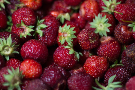 Strawberry background. Top view of fresh strawberries. Strawberries background.の写真素材