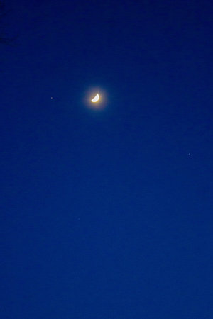 Moon and stars in the night sky, closeup photo with selective focus. vertical photo