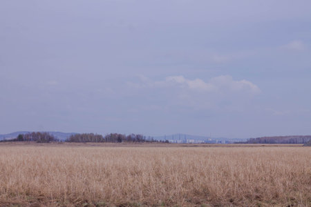 landscape of a field with a view.