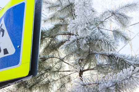 traffic sign on the background of the winter forest, close-upの写真素材