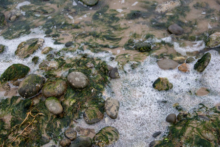 Sea stones on the beach, close-up, soft focus.