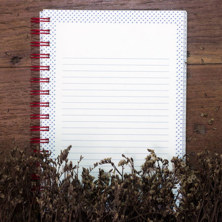 Blank book and dry flower on old deskの写真素材