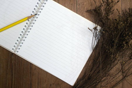Blank book and pencil with dry flower on old deskの写真素材