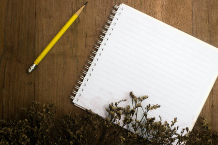 Blank book and pencil with dry flower on old deskの写真素材