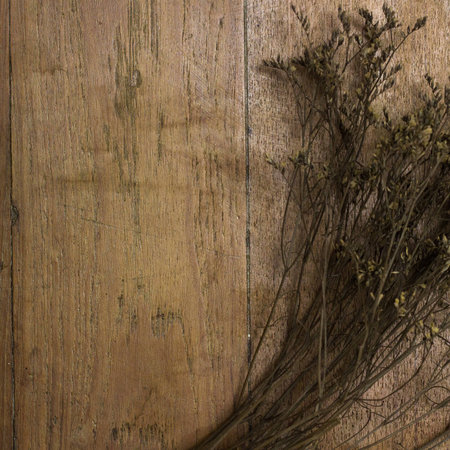Dry flower on old deskの写真素材