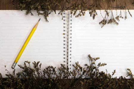 Blank book and pencil with dry flower on old deskの写真素材