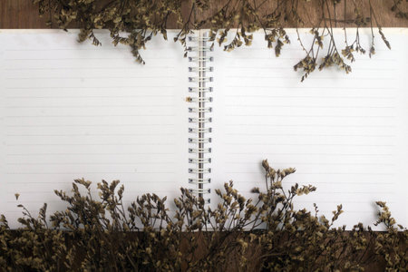 Blank book and dry flower on old deskの写真素材