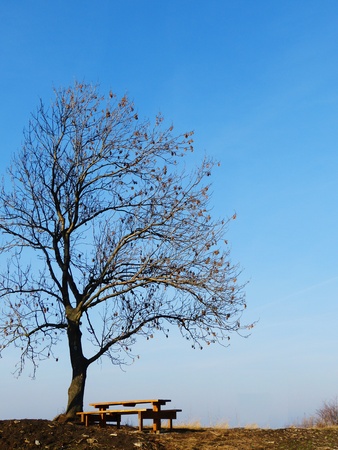 landscape with sit-downの写真素材