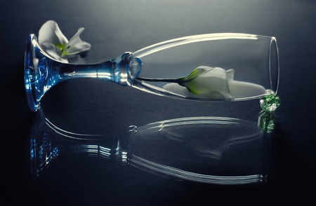White flower in glass with milk  Petals and reflection の写真素材