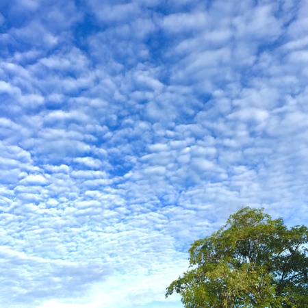 One fine day.の素材